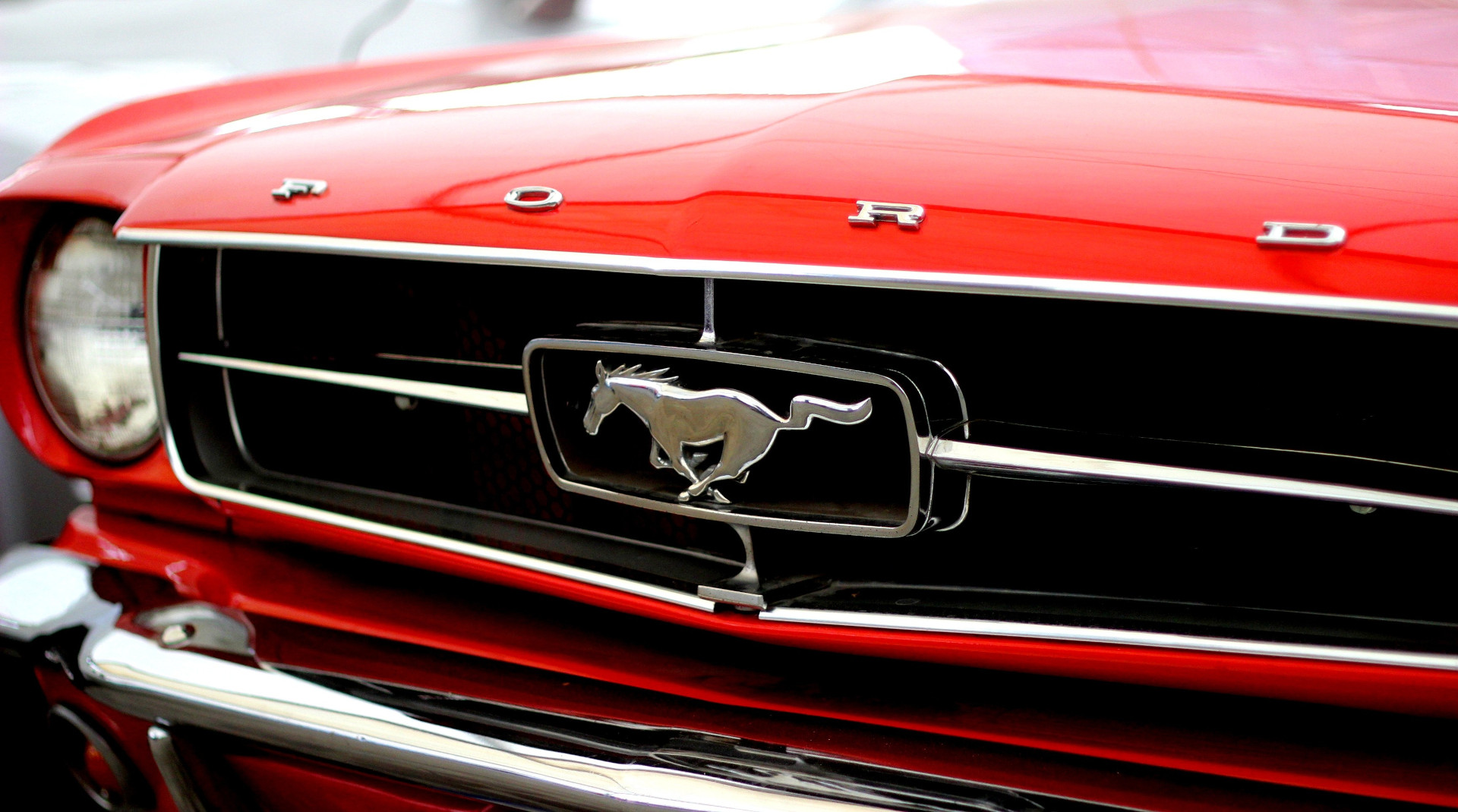 About Us Mustang